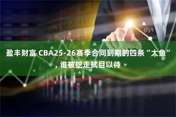 盈丰财富 CBA25-26赛季合同到期的四条“大鱼”, 谁被挖走拭目以待